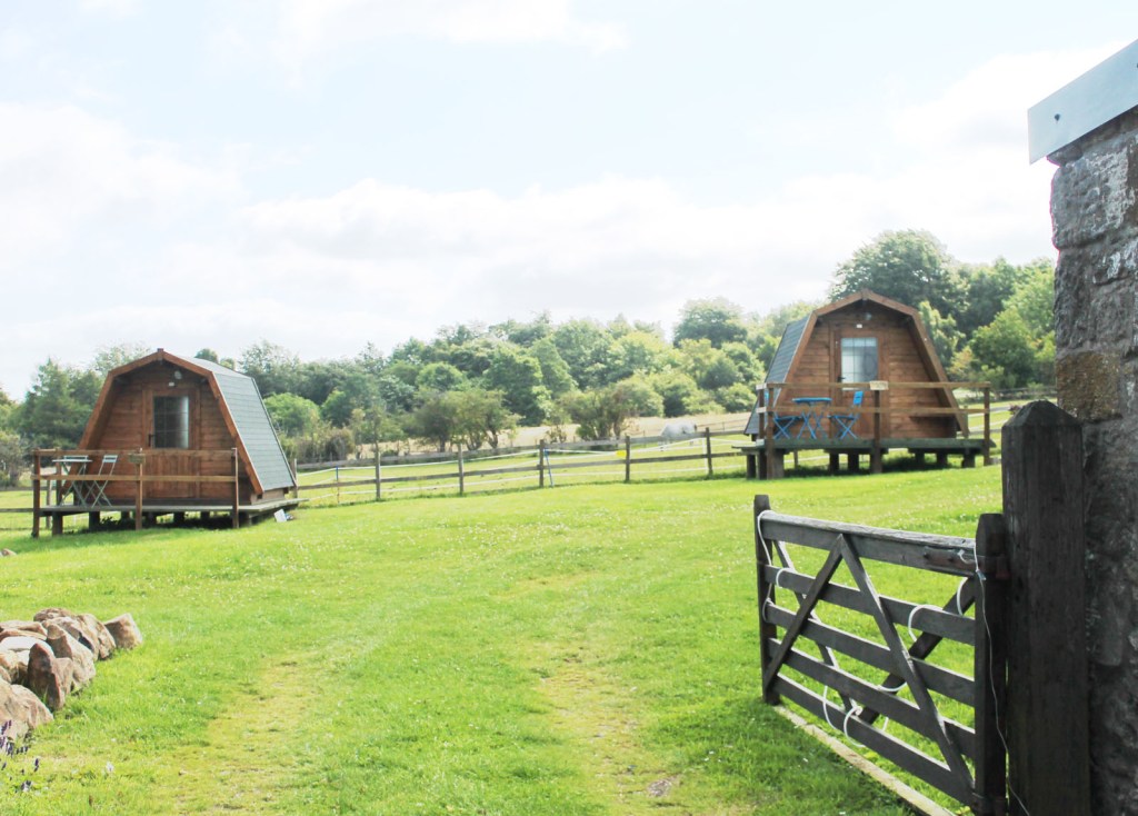 The area leading up to our pods